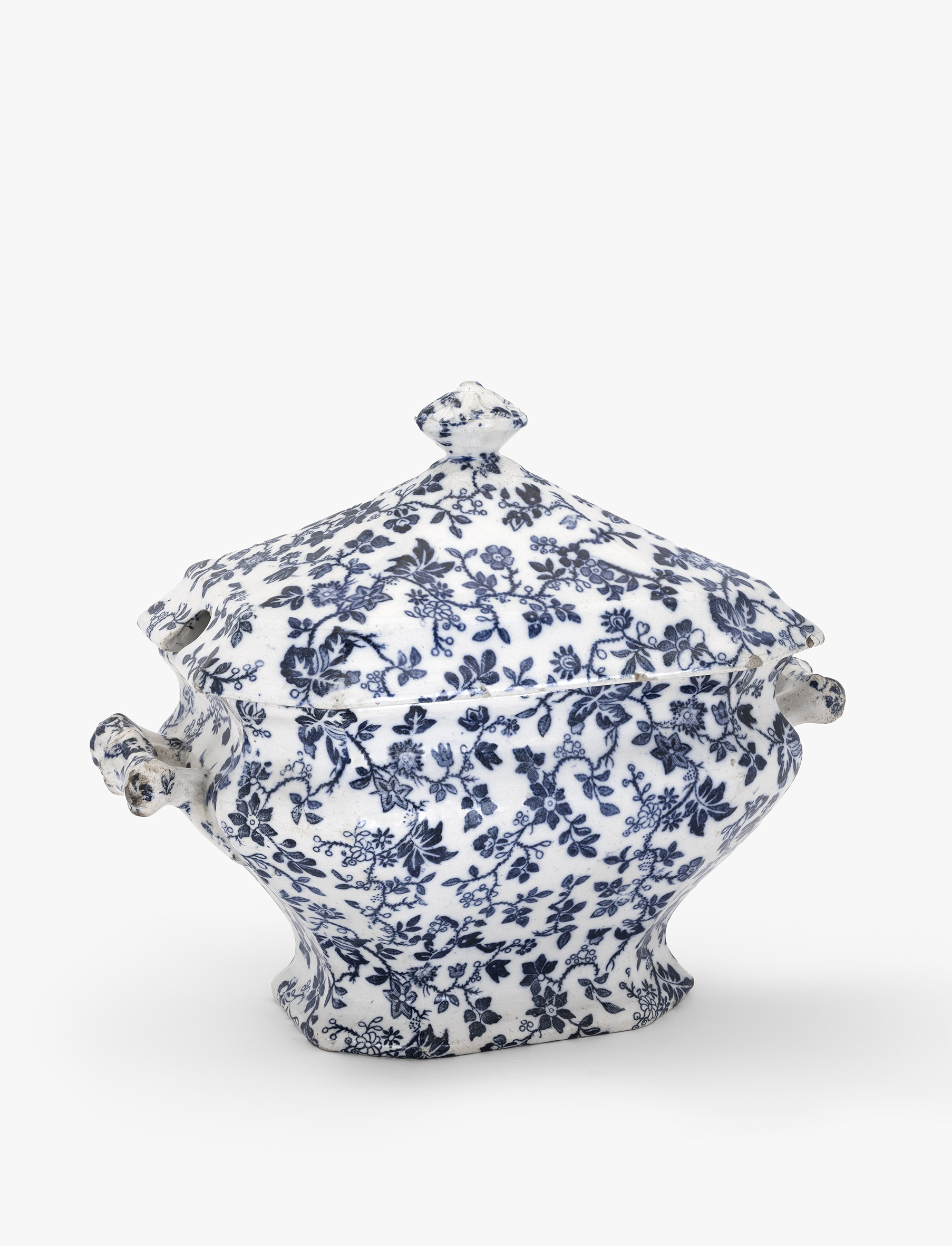 Zopaontzia